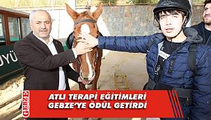 O proje Gebze'ye ödül getirdi