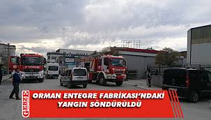 Orman Entegre Fabrikası'nda yangın çıktı