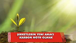 Şirketlerin yeni amacı karbon nötr olmak