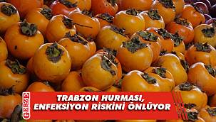 Trabzon hurması, enfeksiyon riskini önlüyor