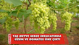 Türkiye'nin yaş meyve sebze ihracatında üzüm ve domates öne çıktı