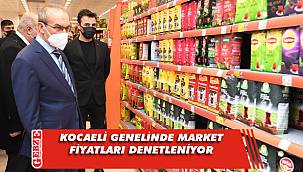 Vali Yavuz, fiyat denetimine çıktı