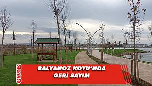 Yeni cazibe merkezi için çalışma sürüyor