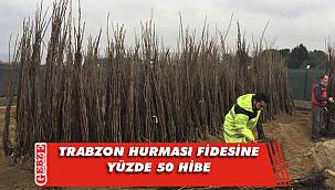 Yüzde 50 hibeli fidan desteği başvuruları başladı
