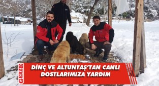Ballıkayalar'daki sevimli dostlara mama desteği