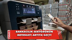 Bankacılık sektörünün mevduatı artışa geçti