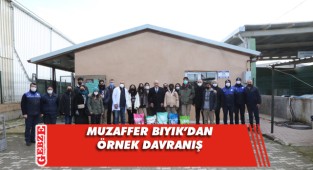 Darıca Belediyesi sokak hayvanlarının yanında