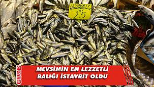 Denizler soğudu, istavritler lezzetlendi