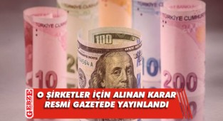 Dövizden TL’ye geçen şirketlere vergi istisnası