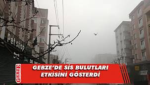 Gebze, güne sisli başladı