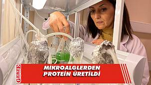 GTÜ'de katma değeri yüksek protein üretildi 