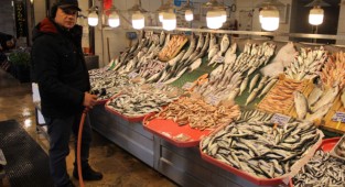 Hamsinin fiyatı 35 liraya düştü