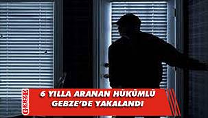 Hırsızlık hükümlüsü Gebze’de yakalandı