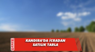 Kandıra'da 897 metrekare tarla icradan satılıktır