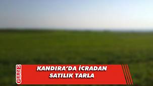 Kandıra’da icradan satılık tarla