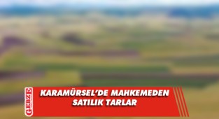 Karamürsel'de 2 bin 204 metrekare tarla mahkemeden satılık