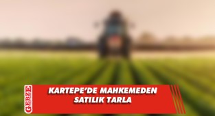 Kartepe'de 1219 metrekare tarla mahkemeden satılık