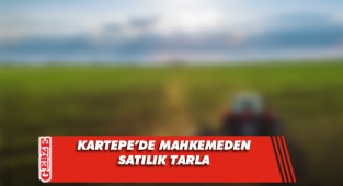 Kartepe'de 9 bin 614 metrekare tarla mahkemeden satılık