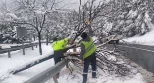 Kırılan ağaç dalları tek tek toplanıyor
