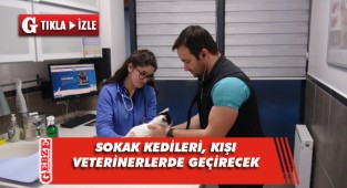Kocaeli Veteriner Hekimleri Odası'ndan anlamlı proje