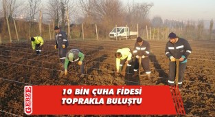 OGM'den alınan fidanlar toprakla buluştu