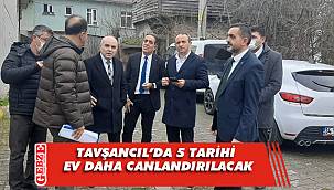 Tarihi evlere Vali Yavuz’dan destek