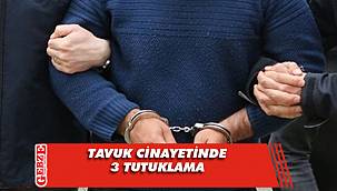 Tavuk cinayetinde 3 tutuklama