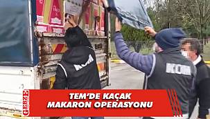 TEM'de 4 milyon 560 bin kaçak makaron ele geçirildi
