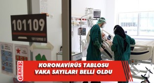 221 can kaybı, 61 bin yeni vaka
