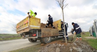 272 Adet ağaç dikimi yapıldı