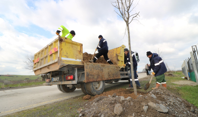 272 Adet ağaç dikimi yapıldı