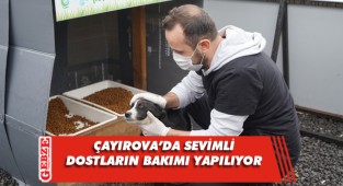 Çayırova’da sevimli dostlar aşılanıyor