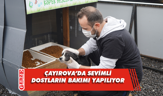 Çayırova’da sevimli dostlar aşılanıyor
