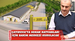 Çiftçi, imzayı sokaktaki canlı dostlarımız için attı