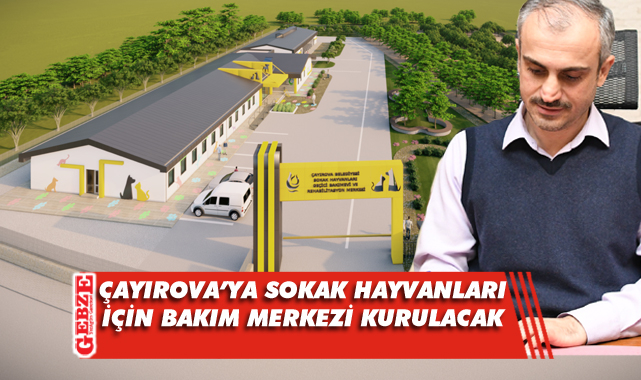 Çiftçi, imzayı sokaktaki canlı dostlarımız için attı