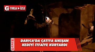 Darıca'da itfaiyeden kedi operasyonu