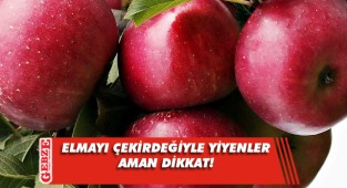 Elma çekirdekleri zehirli midir?