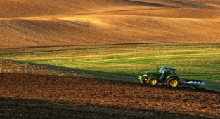 Kandıra'da 7 bin 728 metrekare tarla icradan satılık