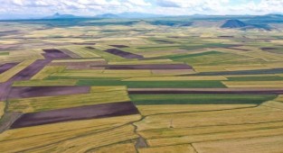 Kartepe'de bin 161 metrekare arsa mahkemeden satılık