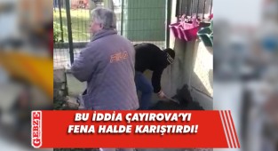 Kedilerin üzerine beton mu döktüler?