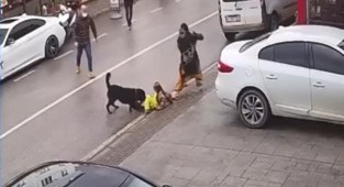 Köpeği görünce kucağından çocuğu düşürdü