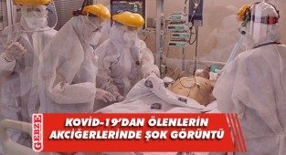 Korkunç tahribat ilk kez gözler önünde!