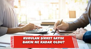 Kurulan şirket sayısı arttı