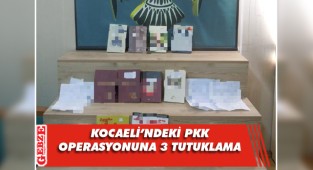 PKK operasyonunda 10 şüpheliden 3'ü tutuklandı