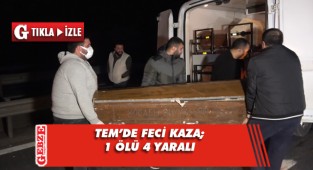 TEM Otoyolu'nda feci kaza