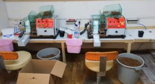 Baskınlarda 317 bin makaron ele geçirildi