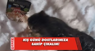 Bu soğukta onları unutmayın