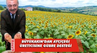 Büyükşehir’den ayçiçeği üreticisine gübre desteği