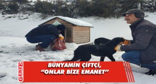 Çayırova'da sokak hayvanları yalnız değil