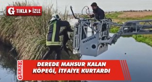 Derede mahsur kalan köpeği itfaiye ekipleri kurtardı